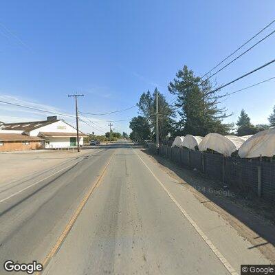 Large dog walking in roadway near Freedom Blvd high school, Santa Cruz