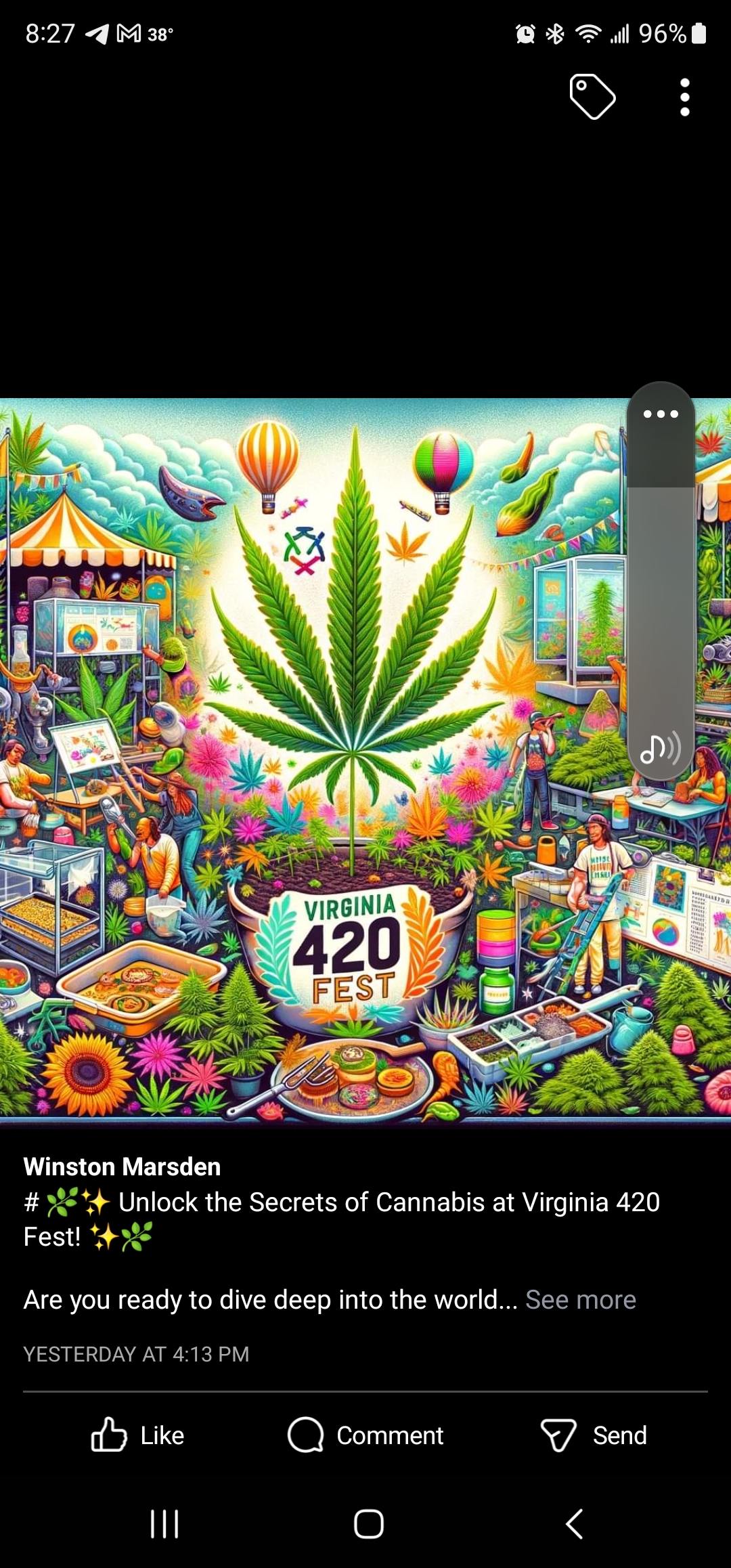 Virginia 420 Fest
