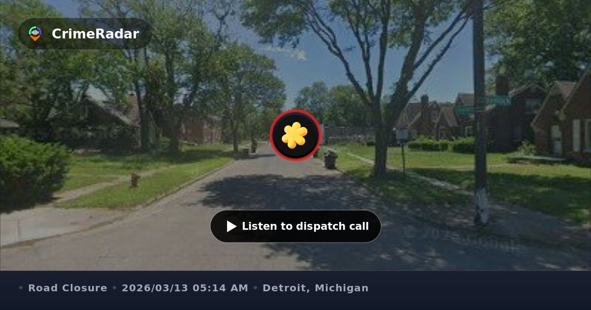 Tree limb partially blocking Oakland and Hemlock, Detroit MI | CrimeRadar