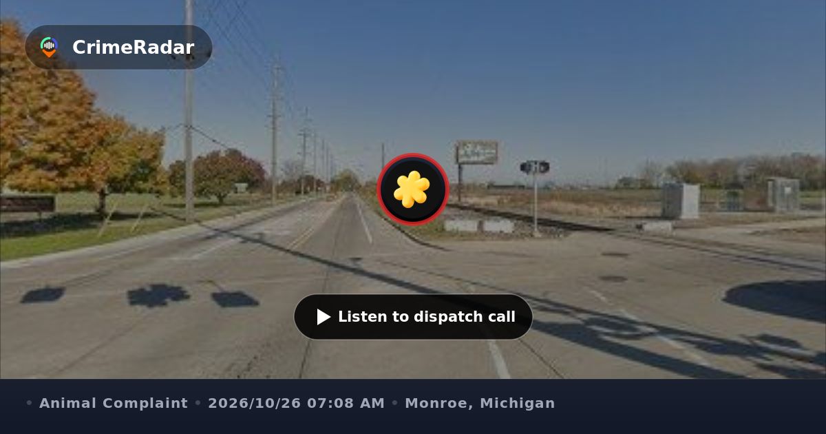 Loose dog near railroad tracks on East Elm, Monroe MI | CrimeRadar