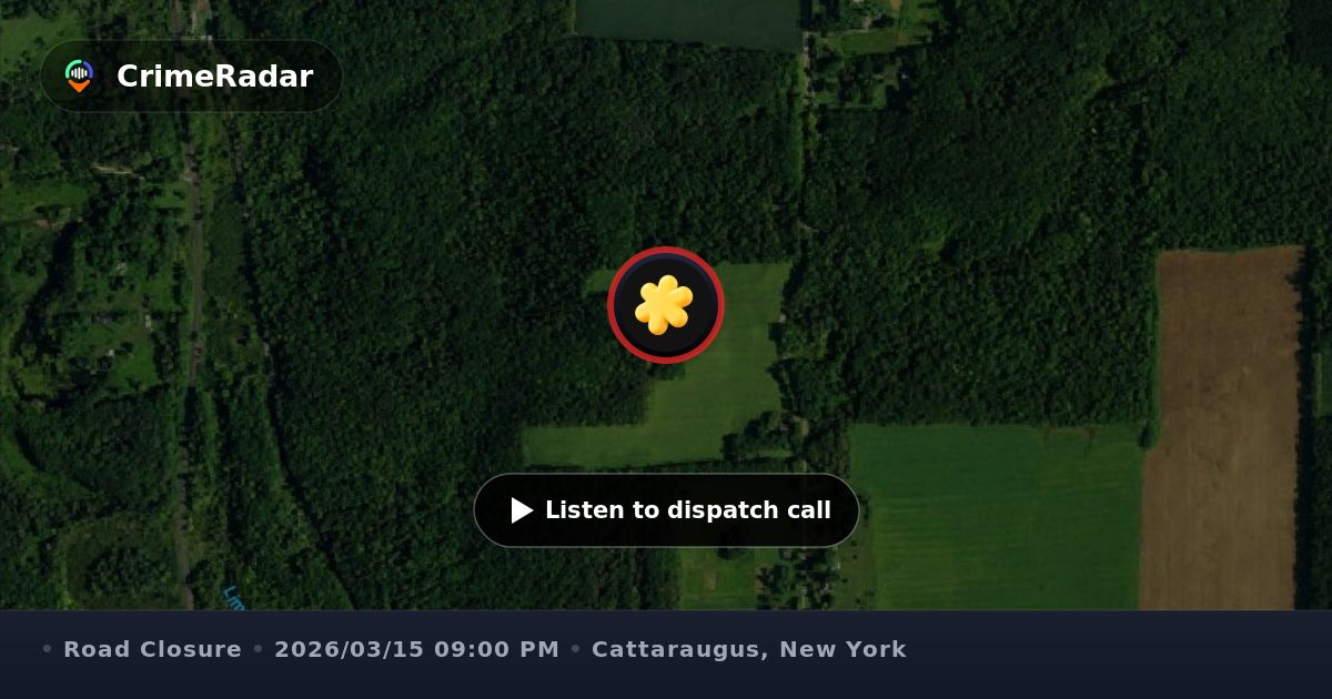 Tree blocking road at Cagwin and Delavan Elton, Cattaraugus County NY ...