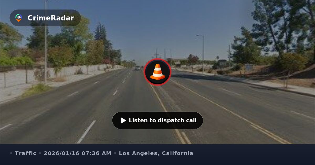 Possible hit-and-run near Balboa Blvd, Los Angeles CA | CrimeRadar
