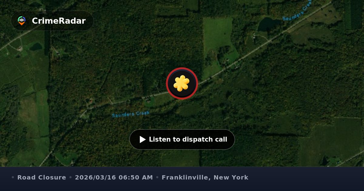 Tree blocking most of roadway on Hardy Corners Road, Franklinville NY ...