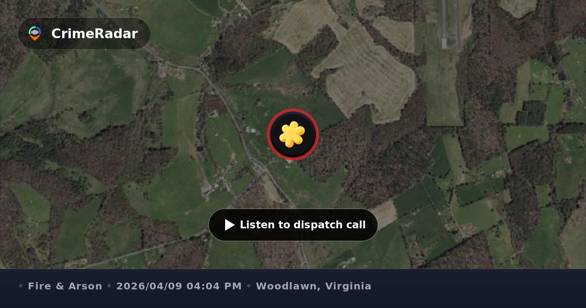 Tree on fire in ditch near Senior Road intersection, Woodlawn VA ...
