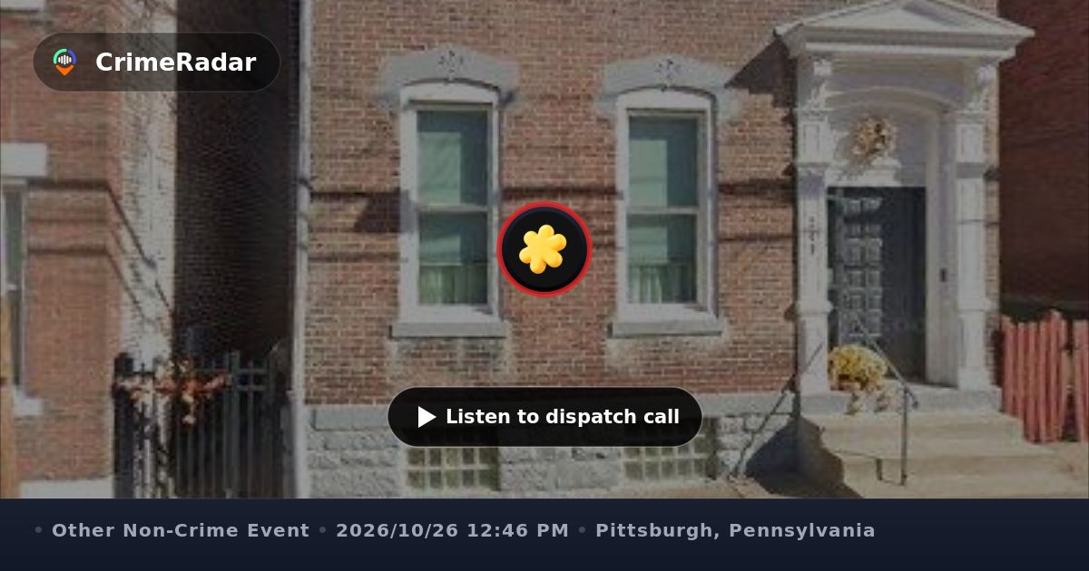 Truck pulls down cable line across 37th Street, Pittsburgh PA | CrimeRadar