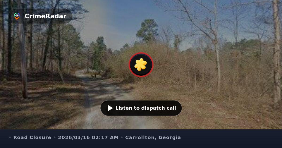Tree blocking roadway near Stripling Chapel, Carrollton GA | CrimeRadar
