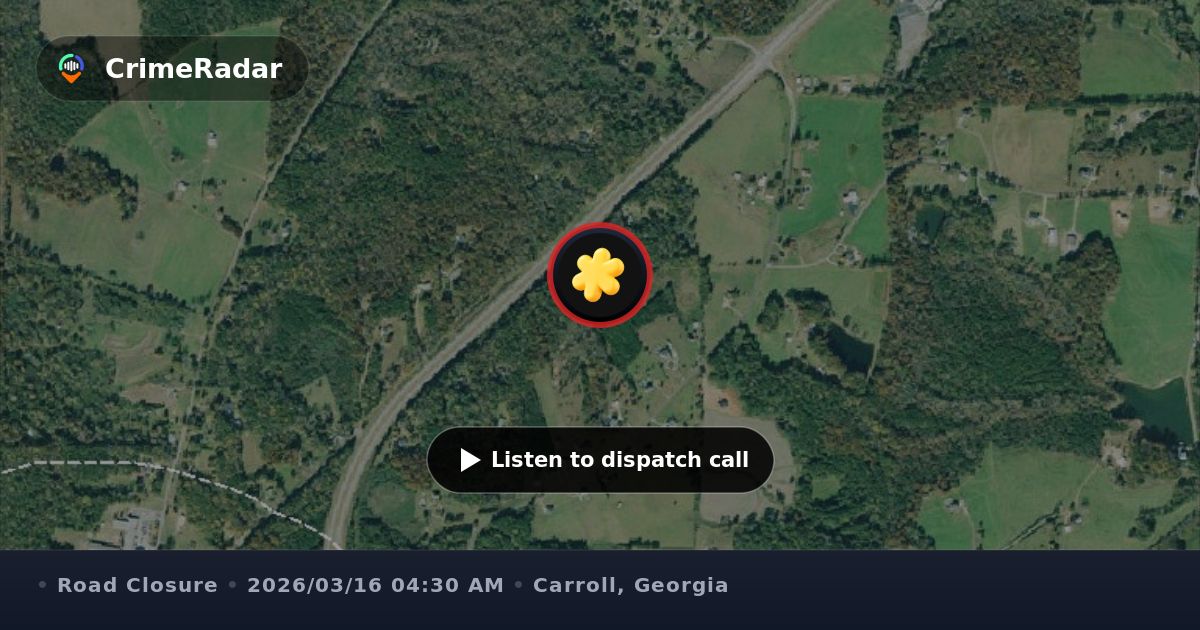Tree blocking road at John Henry Circle and Louise, Carroll County GA ...