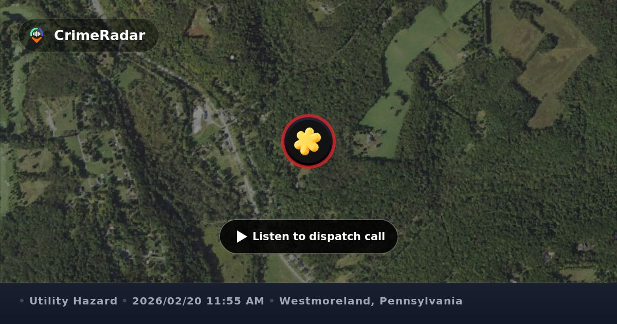 Tree down on wires and flooding on Route 381, Westmoreland County PA ...