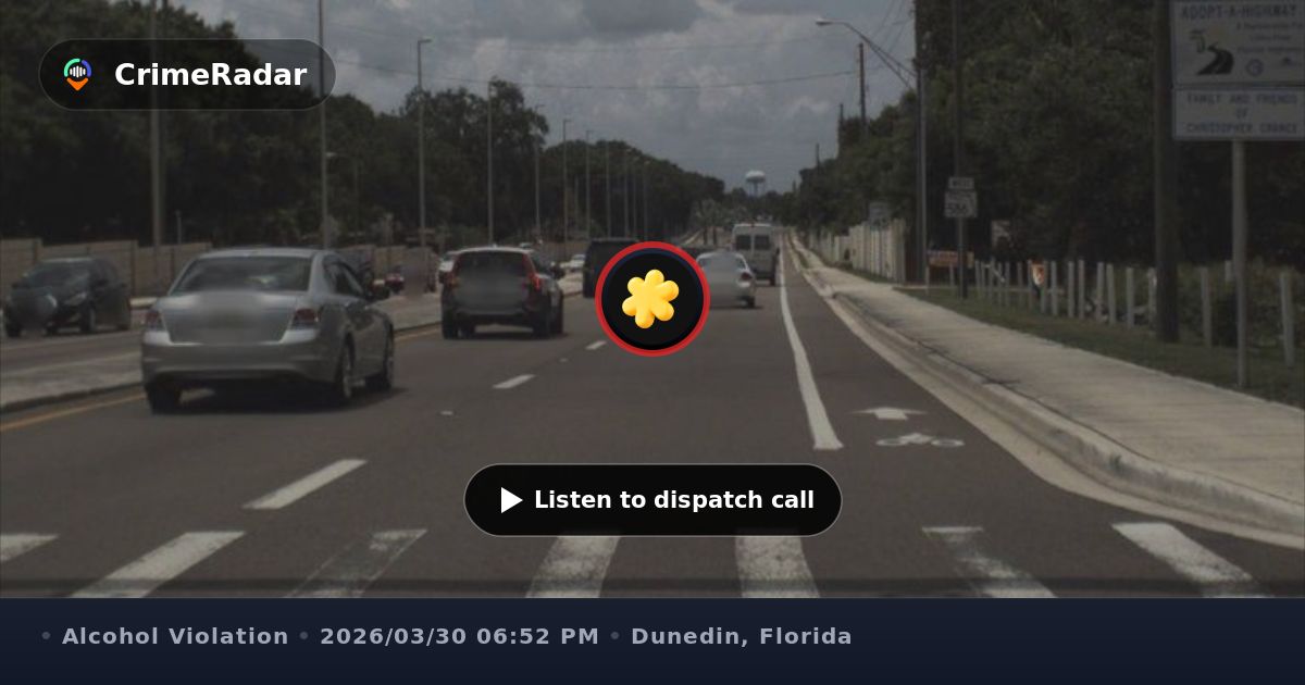 Swerving SUV hits vehicle after leaving bar, Dunedin FL | CrimeRadar