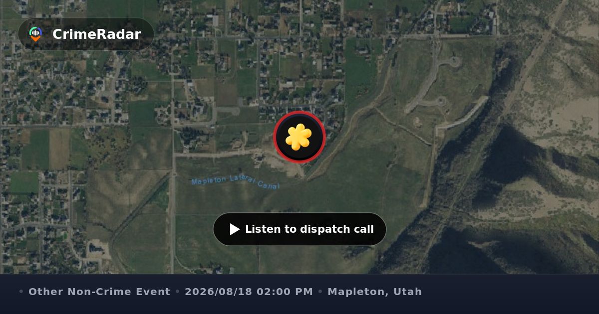 Officers Assist With Bear Near Twin Hollows Circle in Mapleton