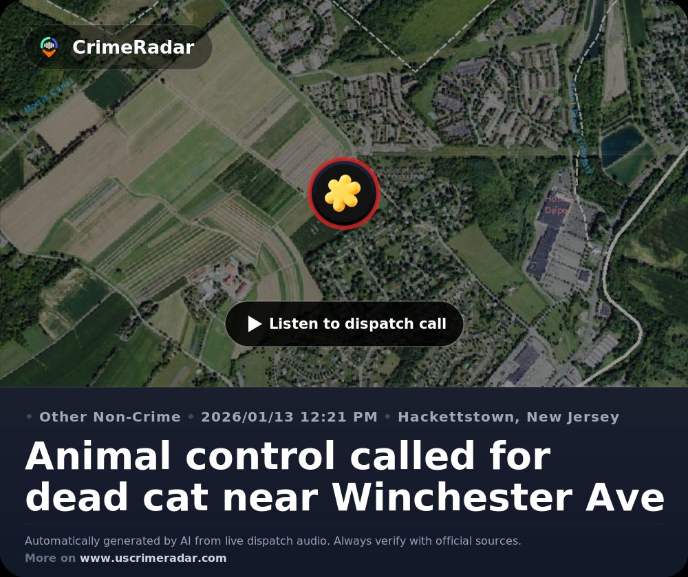 Animal control called for dead cat near Winchester Ave, Hackettstown NJ ...