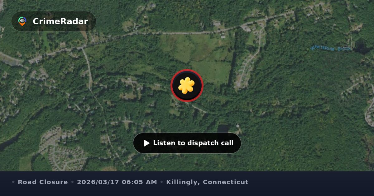 Tree and broken pole blocking intersection, Killingly CT | CrimeRadar