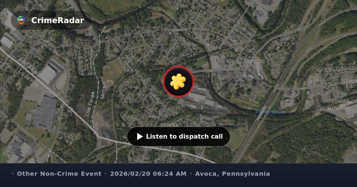 Backyard pool collapse causes yard flooding, Avoca PA | CrimeRadar