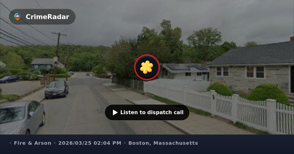 Brush fire near propane tanks on Collins Street, Boston MA | CrimeRadar