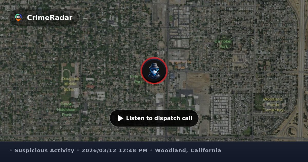 Suspicious subjects after near-miss crash on Gum Ave, Woodland CA ...