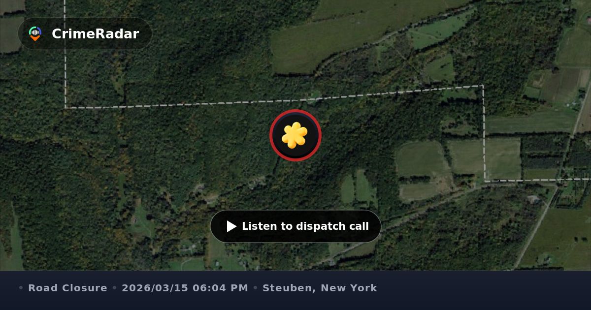 Tree down on wires blocking Freeman Hollow Road, Steuben County NY ...