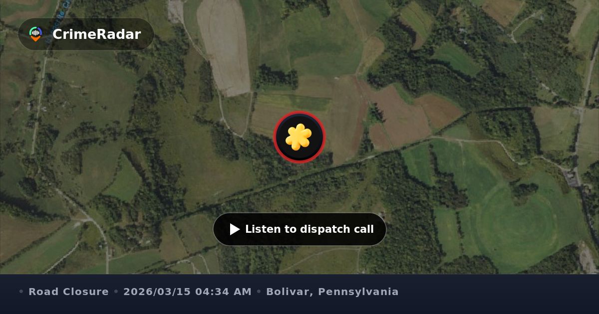 Tree blocking roadway near school on Hamill Road, Bolivar PA | CrimeRadar