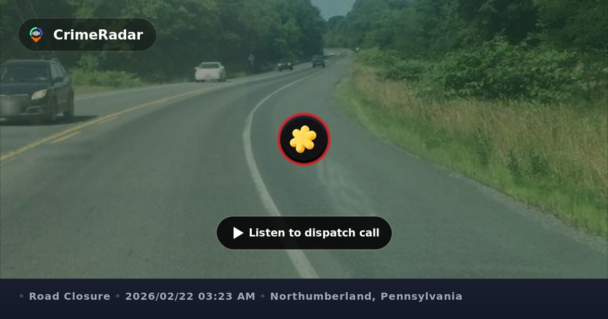 Route 54 closed near plant in Mount Carmel Township, Northumberland ...