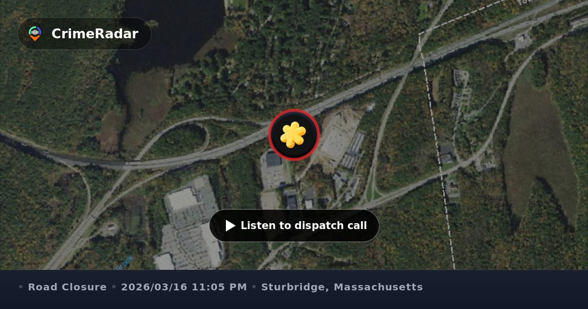 Tree blocking driveway exit near credit union, Sturbridge MA | CrimeRadar