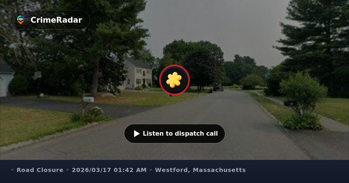Tree blocking roadway on Honeysuckle Road, Westford MA | CrimeRadar