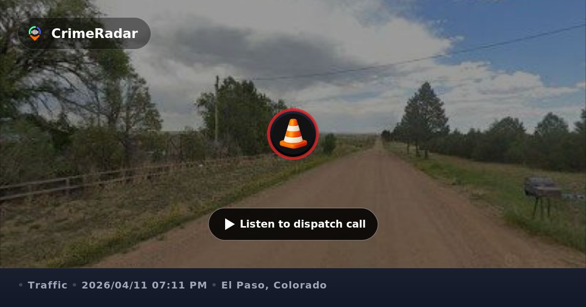 Loose cows creating traffic hazard on Davis Road, El Paso County CO ...