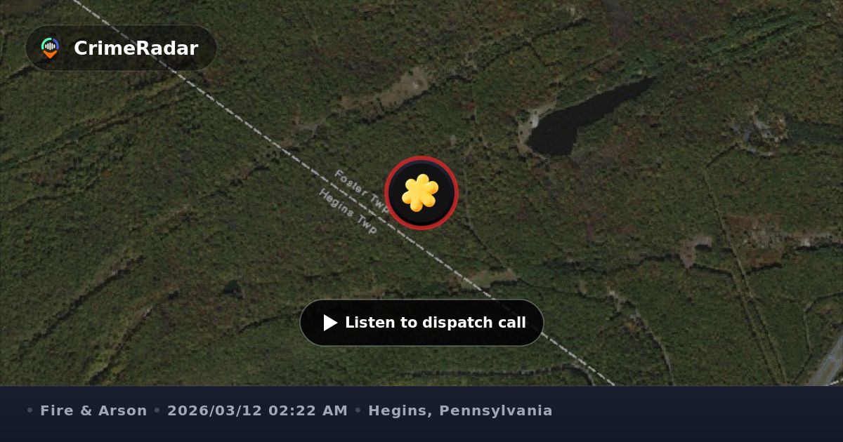 Tree on wires on East Main Street, Hegins PA | CrimeRadar