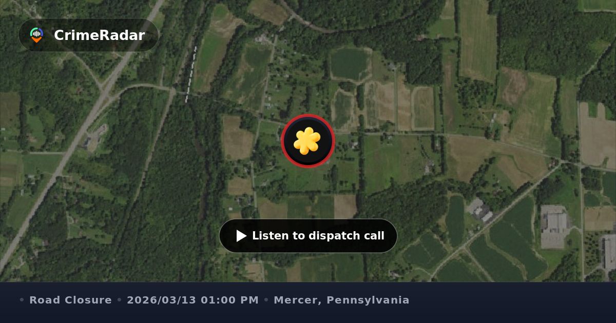 Tree blocking part of roadway near Hamburg Road, Mercer County PA ...