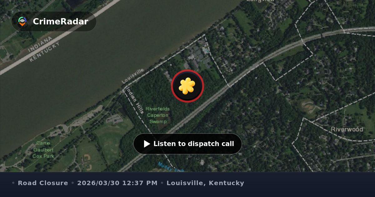 Tree hanging over roadway on Rio Vista Drive, Louisville KY | CrimeRadar