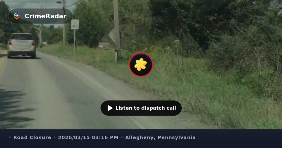 Tree blocking both lanes on Little Deer Creek Road, Allegheny County PA ...