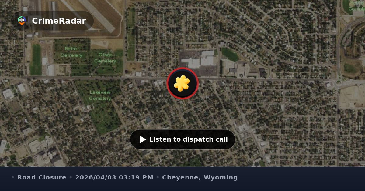 Tree branches creating traffic hazard near park, Cheyenne WY | CrimeRadar