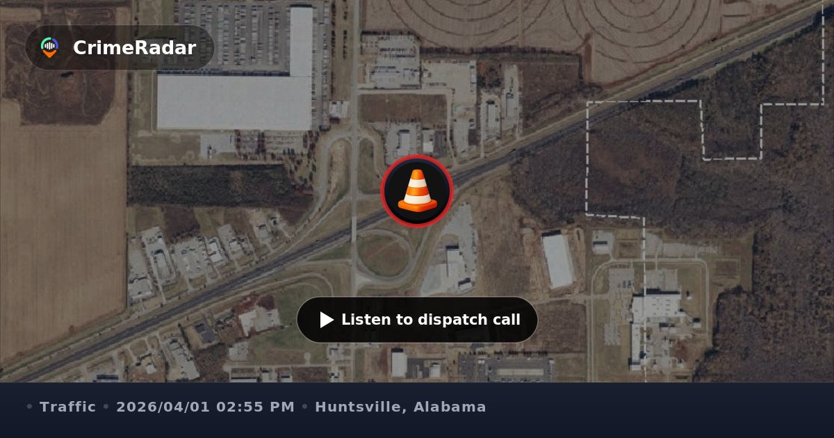 Injured bird creating road hazard on Success Drive, Huntsville AL ...