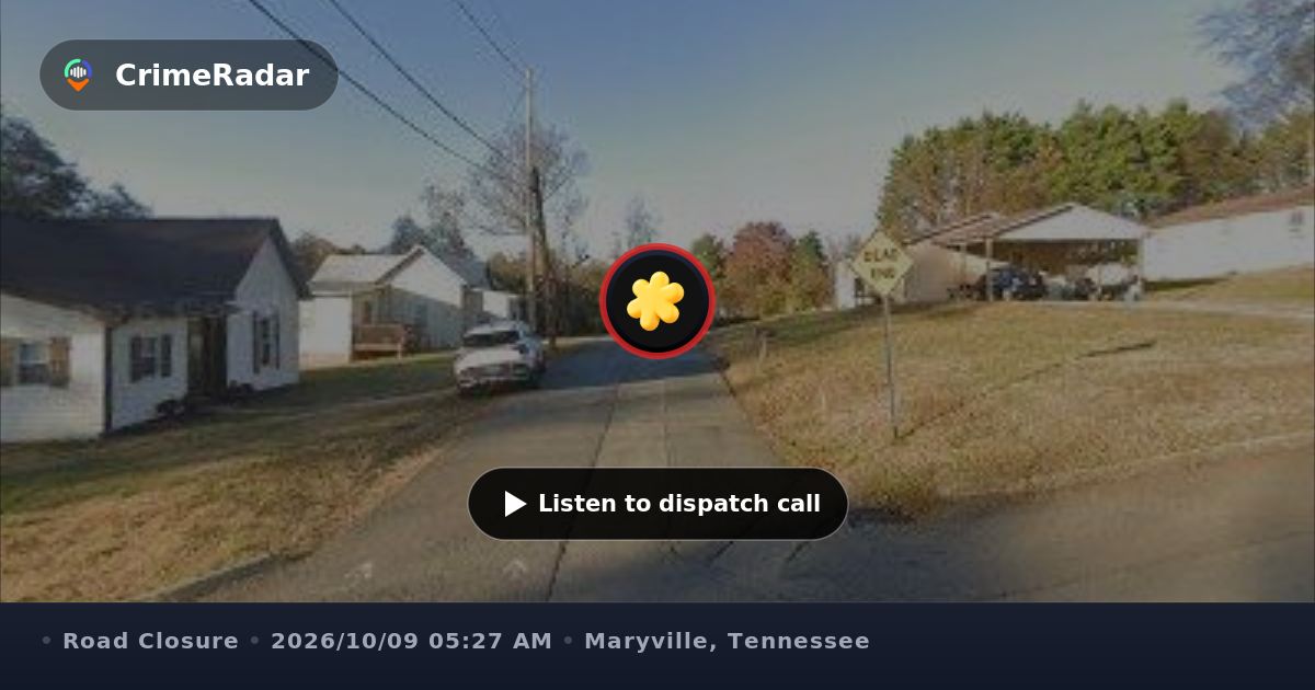 Dead cat creating road hazard on Walnut Street, Maryville TN | CrimeRadar