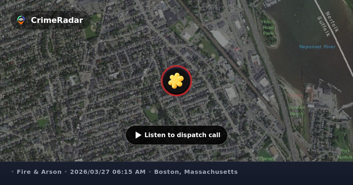 Downed power lines on Train Street in Boston, Boston MA | CrimeRadar