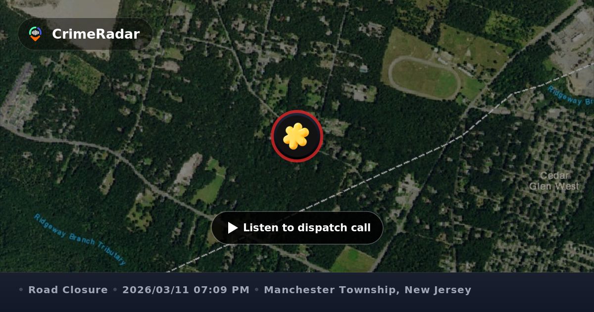 Downed tree at Ridgeway Wine Centers, Manchester Township NJ | CrimeRadar