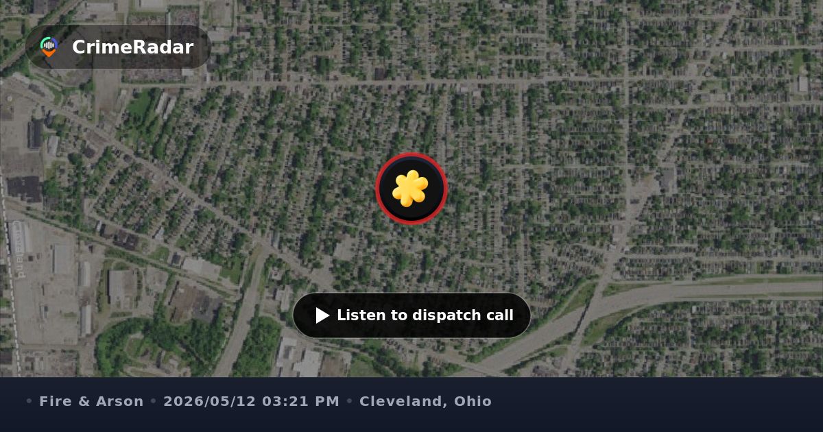Curated visual reference: Fresh Look at Wires Down At West 46Th Street And Kerns Avenue Cleveland