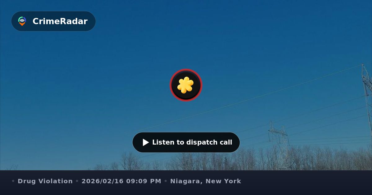 Woman collapsed after suspected drug overdose, Niagara County NY ...