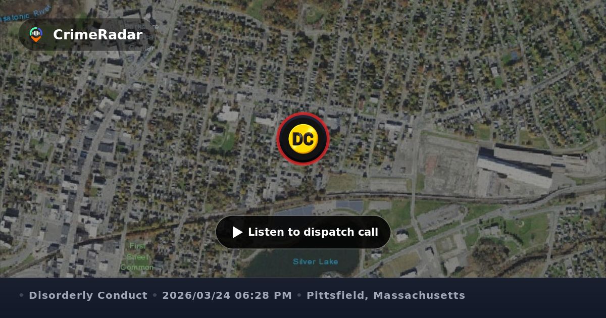 Brandon Messer Disturbance at Lipton Mart, 580 North Street; report of multiple ...