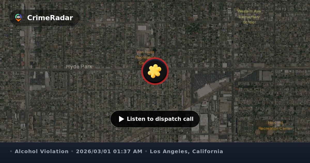 DUI crash becomes hit-and-run on Hyde Park Boulevard, Los Angeles CA ...