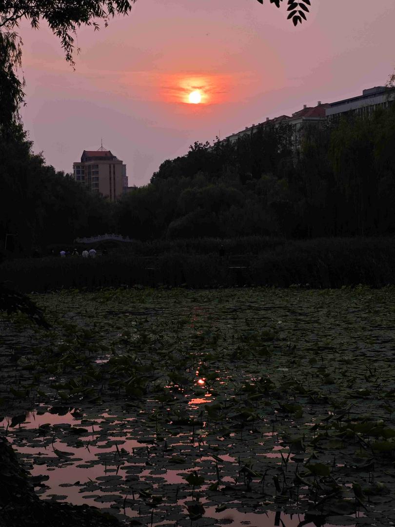 sunset