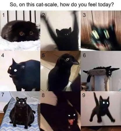 What Level Are You?