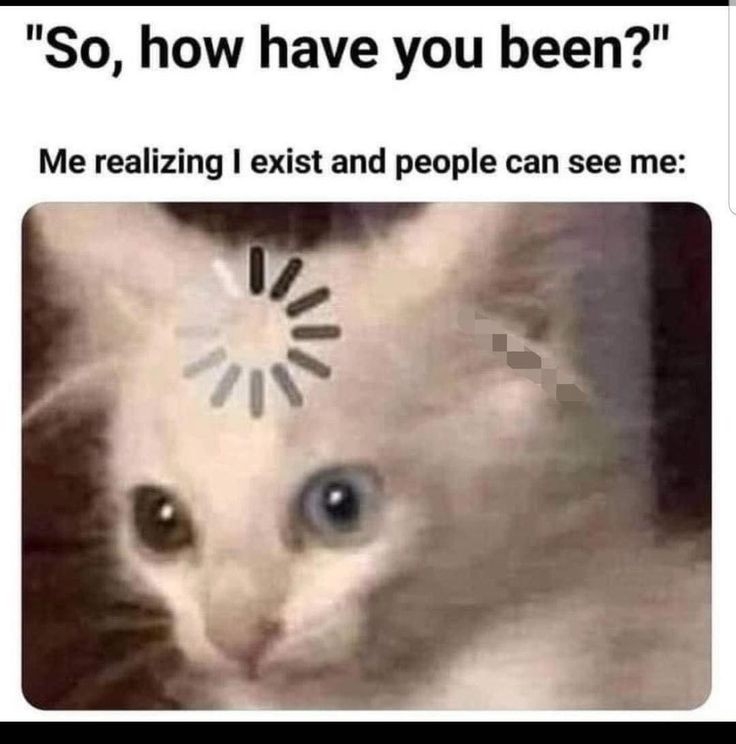 What Level Are You?