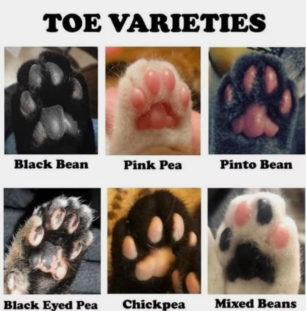 What Level Are You?