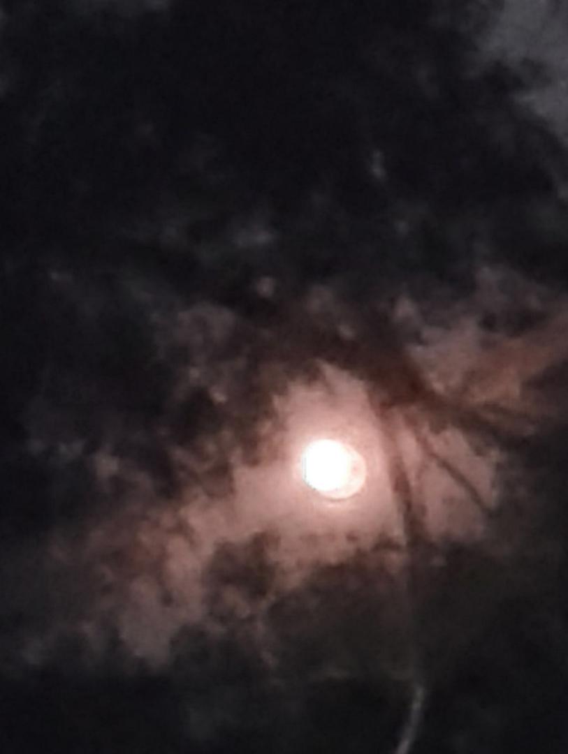 Strawberry MOON
