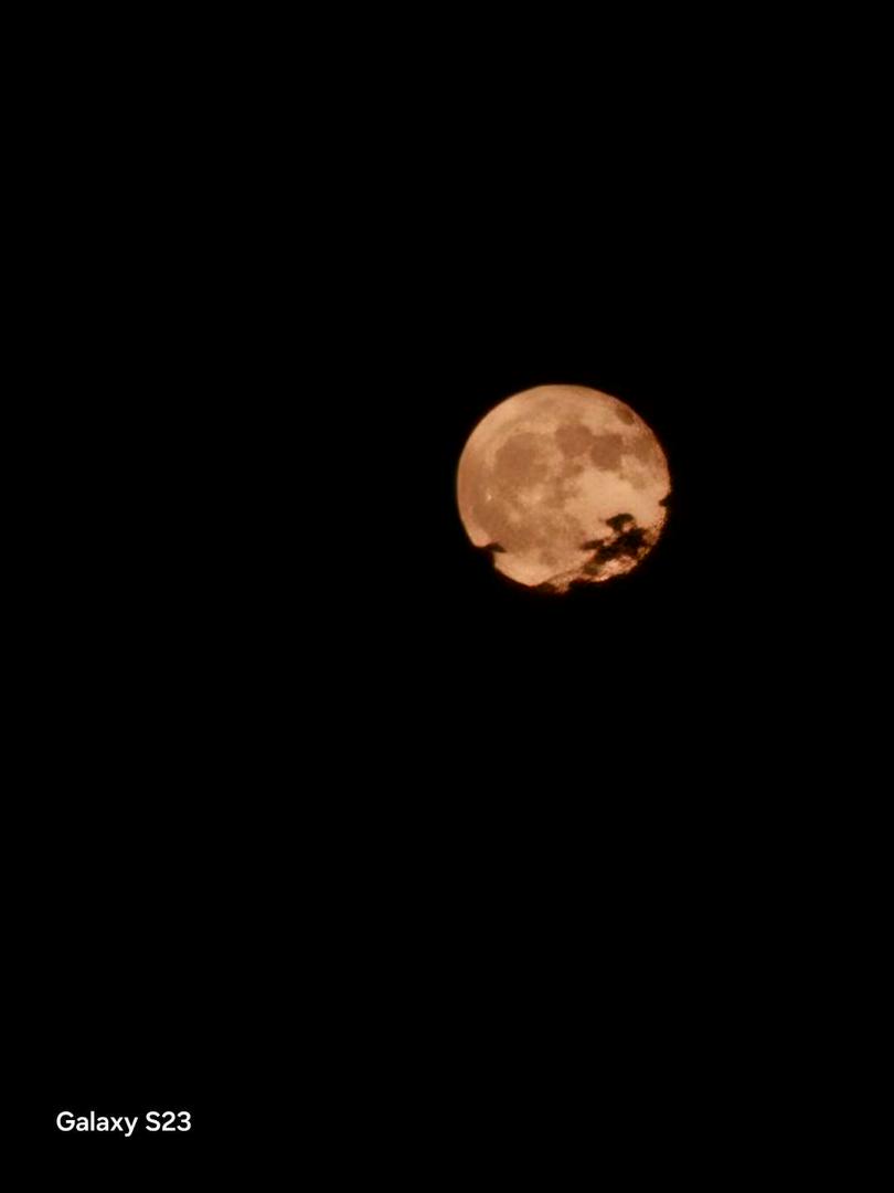 Strawberry MOON