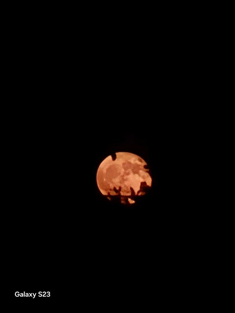 Strawberry MOON