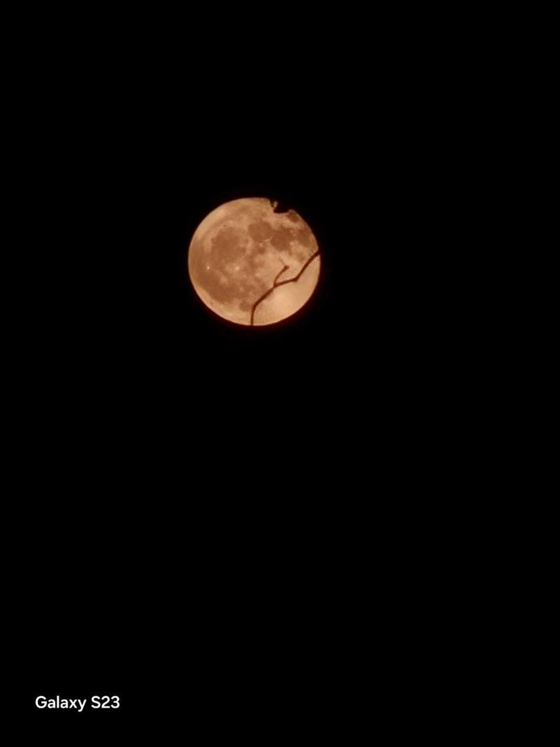 Strawberry MOON