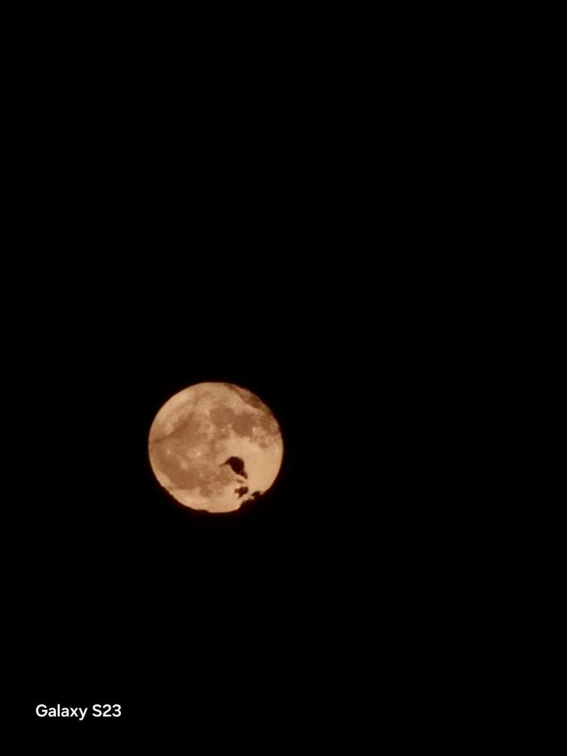 Strawberry MOON