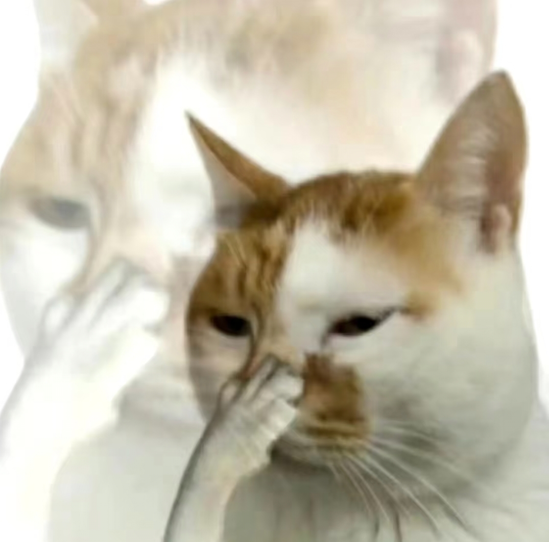 🐱 Scents Your Cat Probably Hates