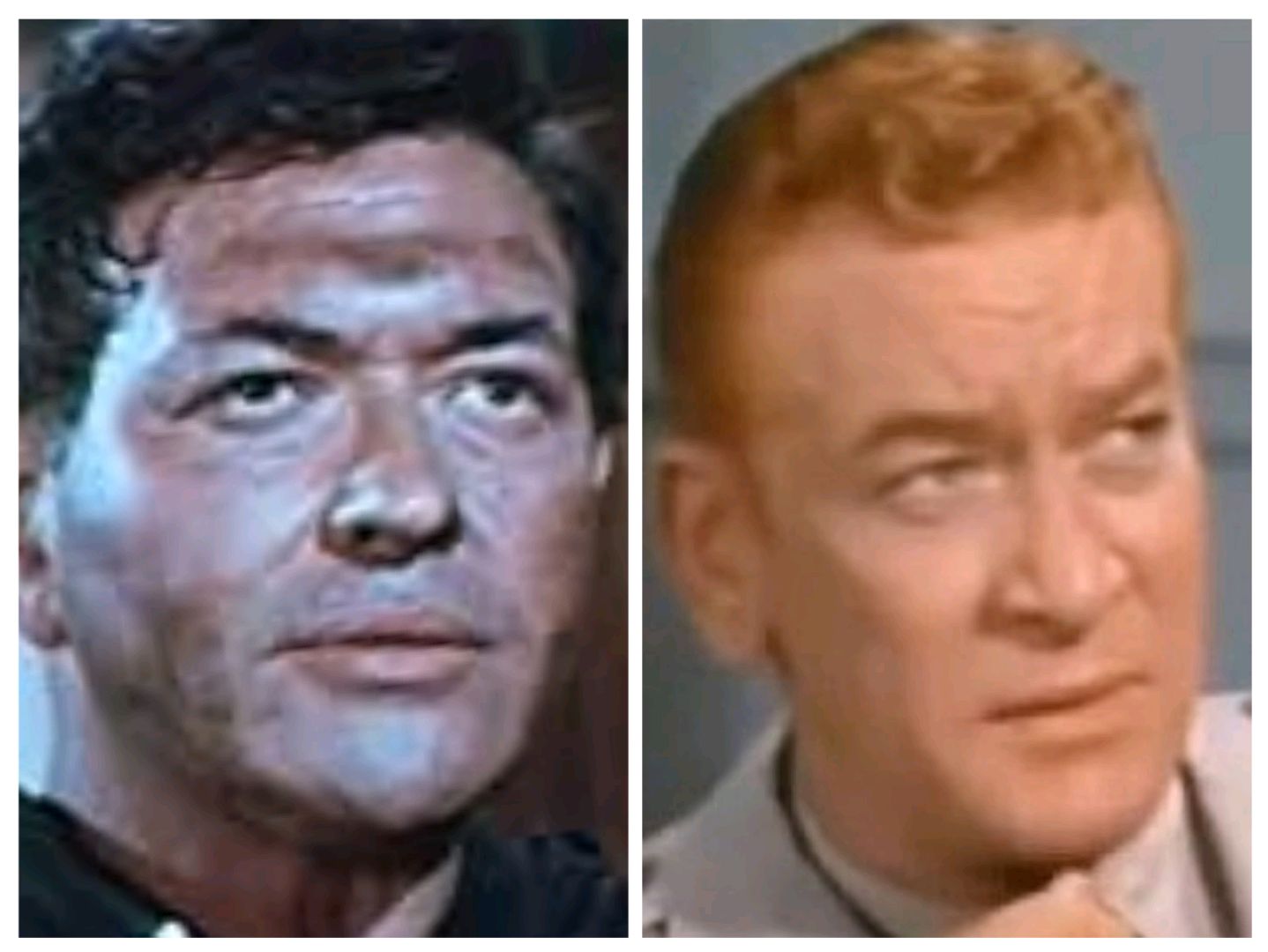 The lives of simon oakland and kenneth tobey