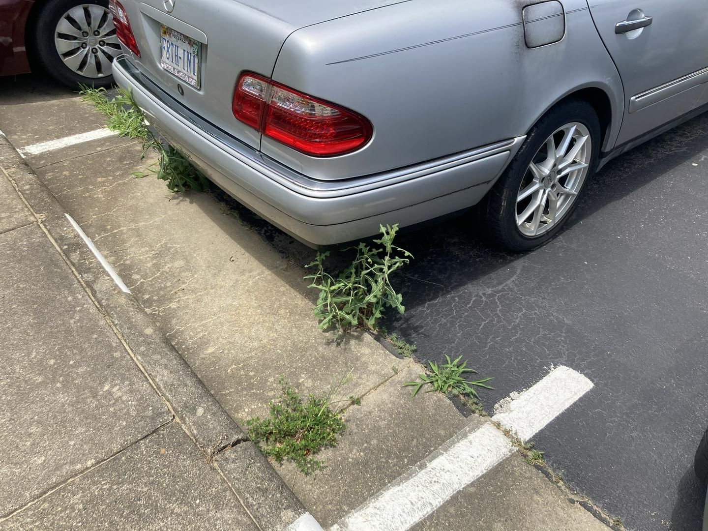 Lake ridge association maintenance problems 